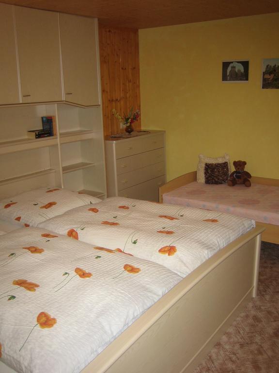 Apartment Schlafwandler Steinigtwolmsdorf Kamer foto